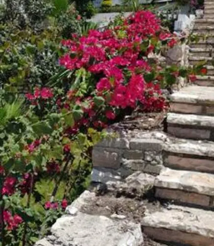 Vasili Sunstay Apartment *